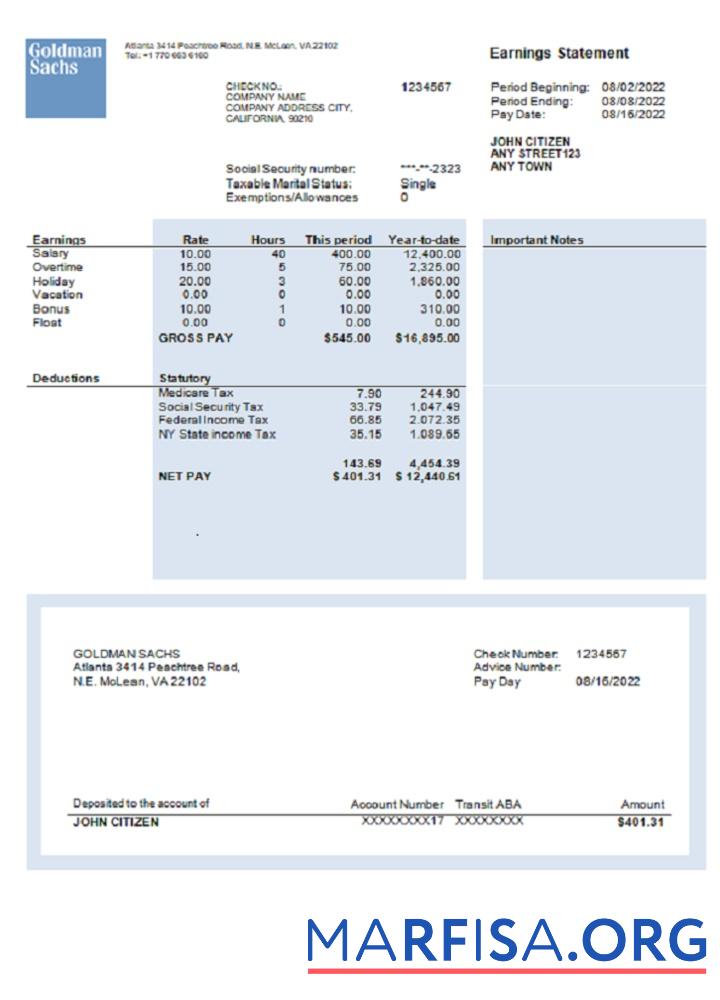 Blank USA financial earning statement version 2 template